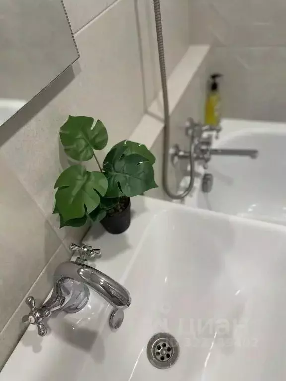 1-к кв. Воронежская область, Воронеж Никитинская ул., 44 (33.0 м) - Фото 1