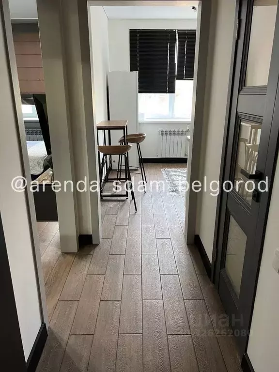 1-к кв. Белгородская область, Белгородский район, Дубовское с/пос, с. ... - Фото 1