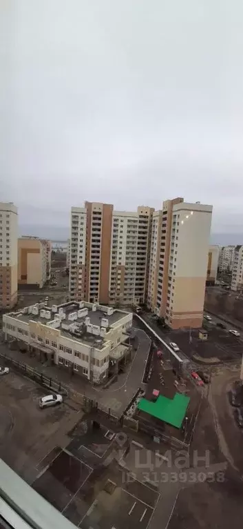 1-к кв. Саратовская область, Саратов ул. Имени Александра Кривохижина, ... - Фото 2