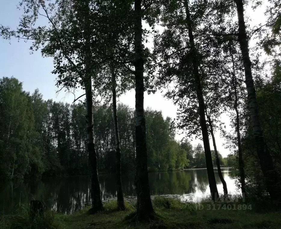 Участок в Ленинградская область, Всеволожский район, Сертоловское ... - Фото 0