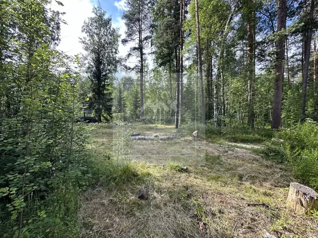 Участок в Санкт-Петербург пос. Комарово, ул. 1-я Дачная (30.0 сот.) - Фото 1