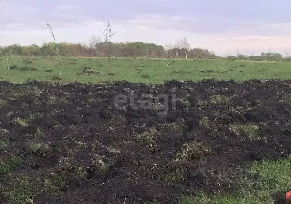 Участок в Мордовия, Саранск городской округ, пос. Пушкино  (15.0 сот.) - Фото 1