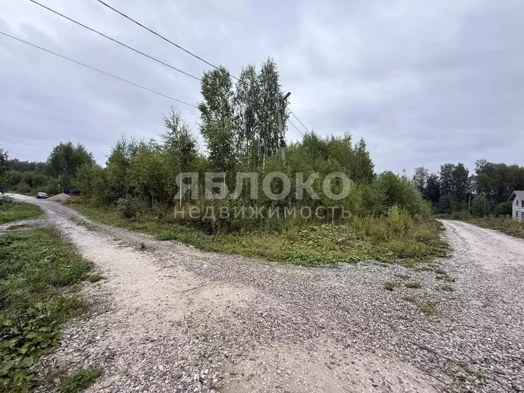 Участок в Пермский край, Березники пер. Красивый, 12 (14.4 сот.) - Фото 0