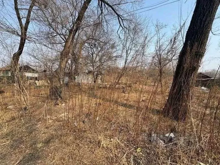 Участок в Приморский край, Пограничный пгт ул. Советская, 141 (12.0 ... - Фото 1