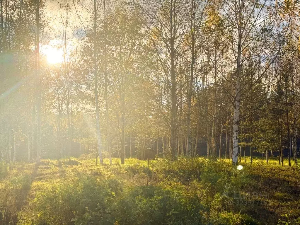 Участок в Ленинградская область, Выборгский район, Первомайское с/пос  ... - Фото 1