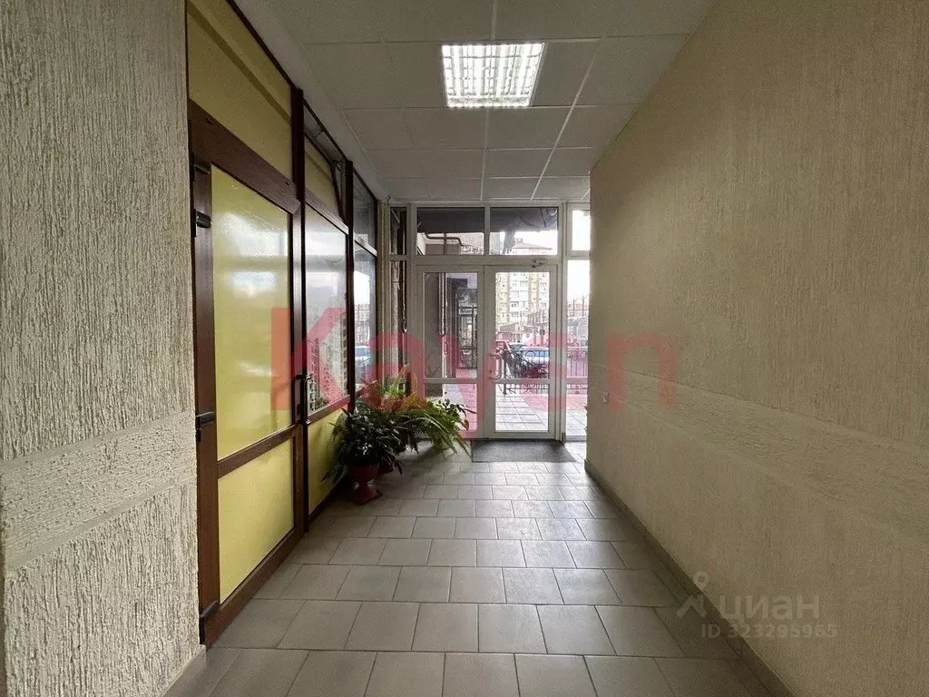 Офис в Краснодарский край, Геленджик ул. Сурикова, 60Б (35 м) - Фото 2