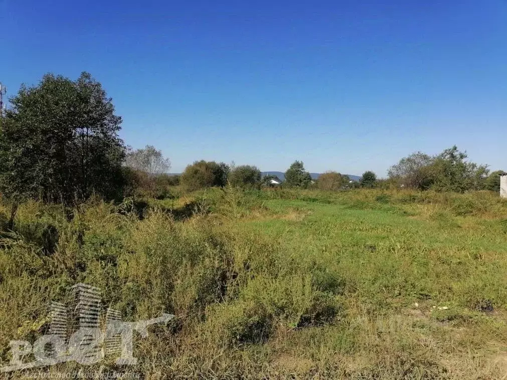 Участок в Приморский край, Артемовский городской округ, с. Ясное ул. ... - Фото 2