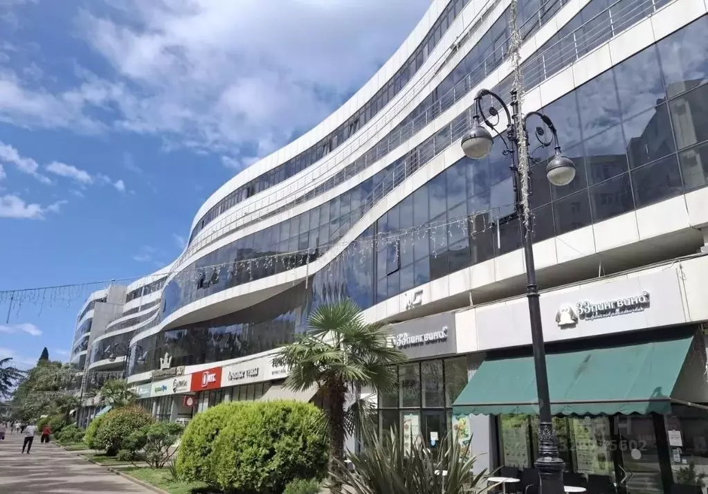 Помещение свободного назначения в Краснодарский край, Сочи Центральный ... - Фото 2