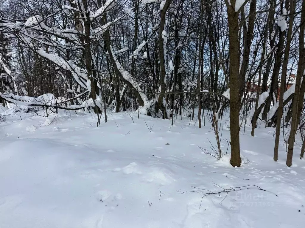 Участок в Московская область, Пушкинский городской округ, Софрино пгт ... - Фото 2
