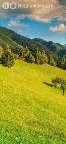 Участок в Новоалександровск, улица Чапаева (15 м) - Фото 1