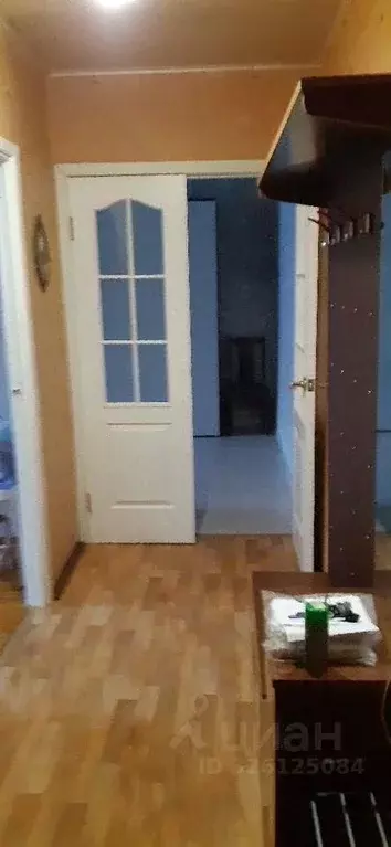 2-к кв. Санкт-Петербург, Санкт-Петербург, Петергоф Чичеринская ул., 7 ... - Фото 1