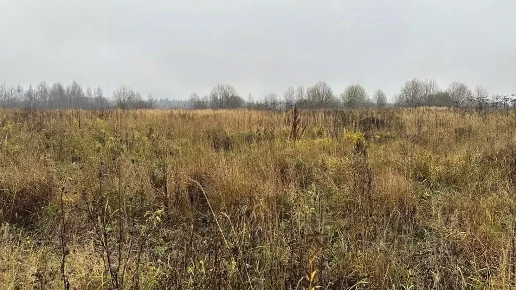 Участок в Московская область, Солнечногорск городской округ, д. ... - Фото 2