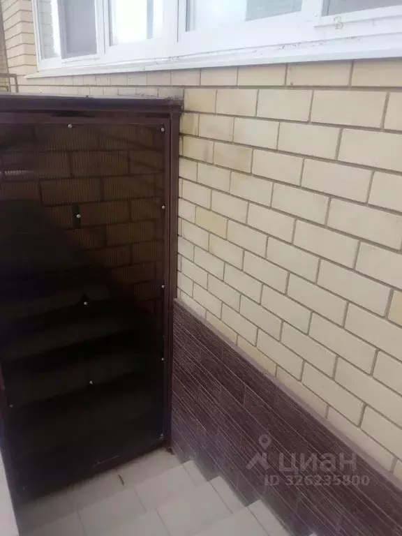 Помещение свободного назначения в Краснодарский край, Анапа ул. ... - Фото 1