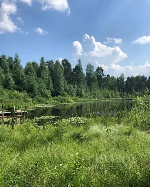 Участок в Ленинградская область, Тосненское городское поселение  (12.0 ... - Фото 0
