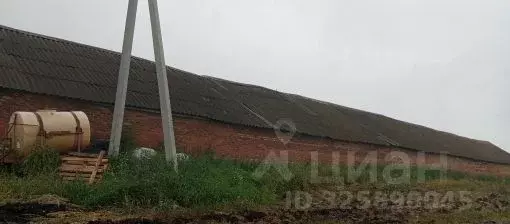 Гараж в Пензенская область, Бессоновский район, с. Александровка ... - Фото 2