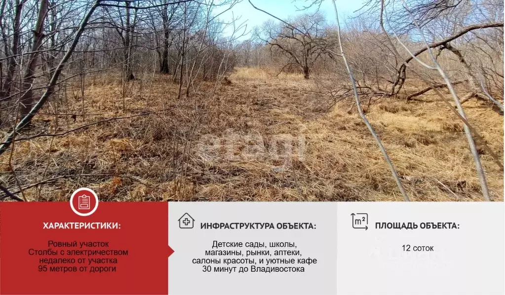 Участок в Приморский край, Надеждинский район, с. Вольно-Надеждинское ... - Фото 0
