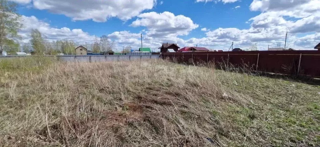 Участок в Новосибирская область, Новосибирский район, Толмачевский ... - Фото 1