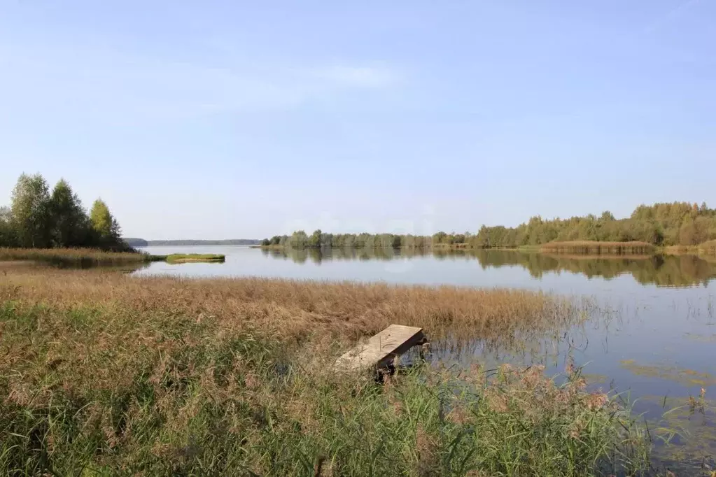 Участок в Вологодская область, Шекснинский муниципальный округ, д. ... - Фото 1