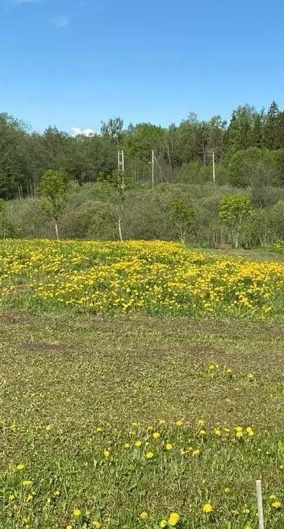 Участок, 12 сот., 0 - Фото 0