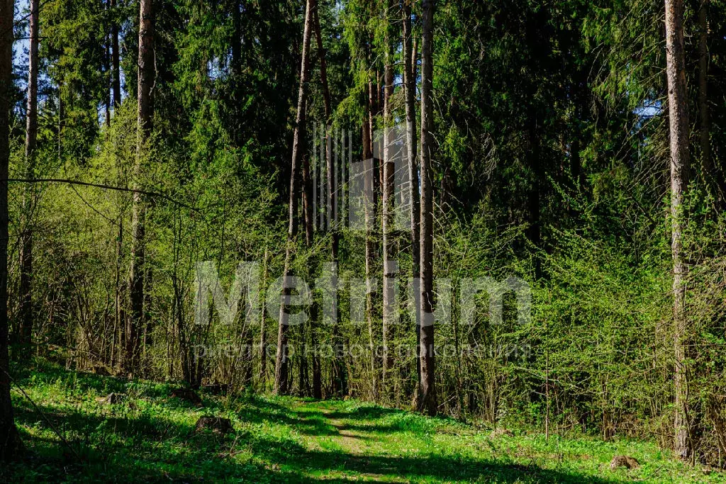 Продается участок в КП Княжье Озеро - Фото 2