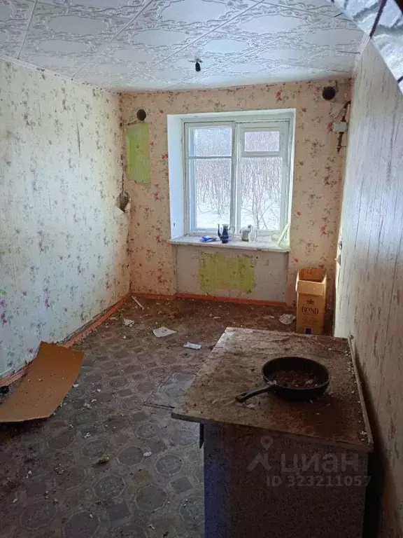 Свободной планировки кв. Новосибирская область, Черепановский район, ... - Фото 1