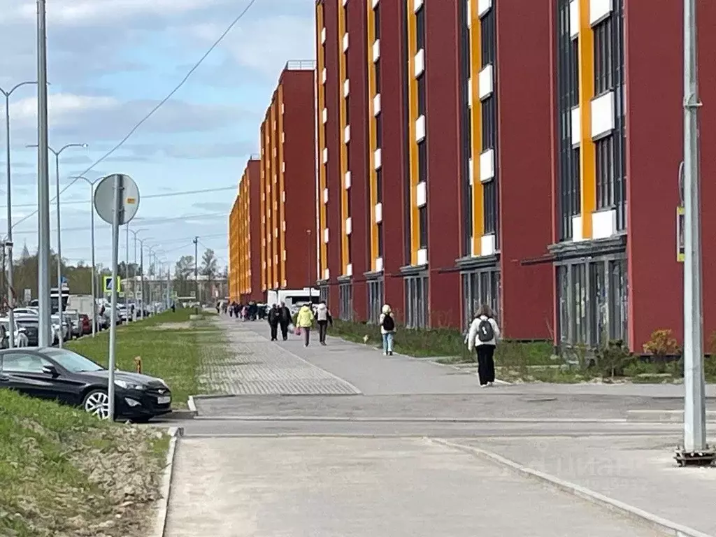 Торговая площадь в Санкт-Петербург просп. Буденного, 19к2 (137 м) - Фото 1
