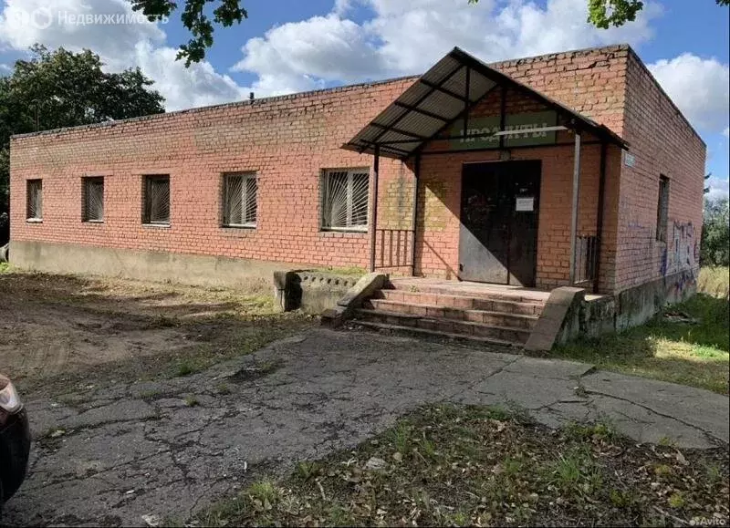 Помещение свободного назначения (306 м) - Фото 2