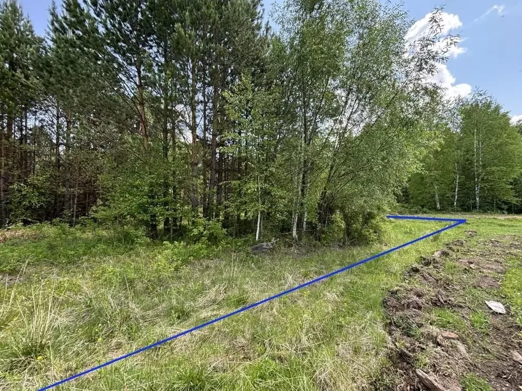 Участок в Иркутская область, Шелеховский район, с. Шаманка Черемуховая ... - Фото 1