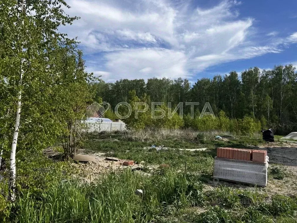 Участок в Тюменская область, Тюменский район, с. Ембаево  (6.0 сот.) - Фото 0