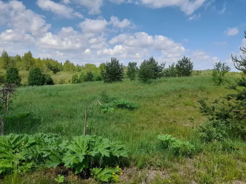 Участок в Псковская область, Опочецкий муниципальный округ, д. ... - Фото 1