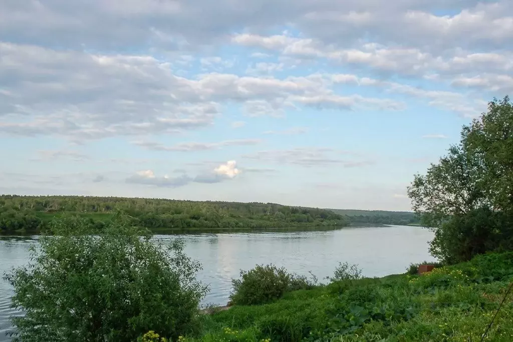 Участок в Калужская область, Тарусский муниципальный округ, Левшино кп ... - Фото 2