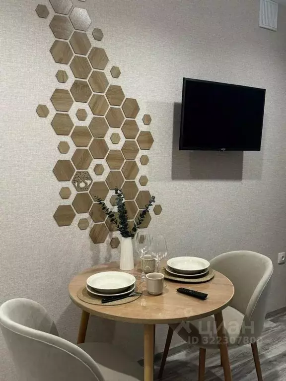 Студия Татарстан, Казань Олонецкая ул., 6А (30.0 м) - Фото 2