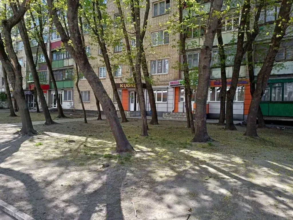 Офис в Курская область, Курск ул. Радищева, 86 (107 м) - Фото 0