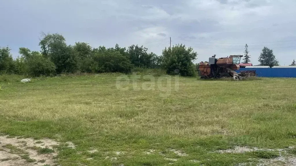 Участок в Тюменская область, Тюменский район, с. Салаирка ул. Мира ... - Фото 1