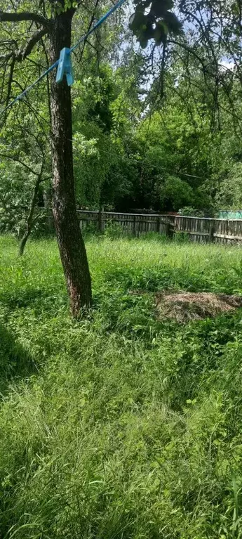 Торговая площадь в Московская область, Люберцы городской округ, ... - Фото 1