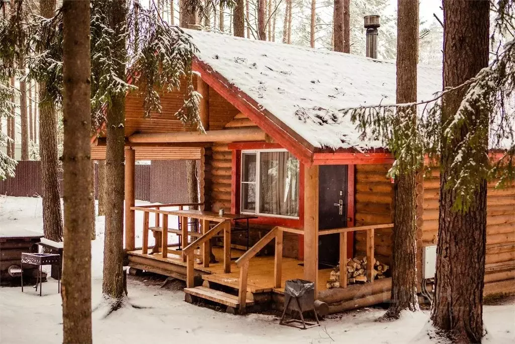 Дом в Псковская область, Гдов  (25 м) - Фото 1