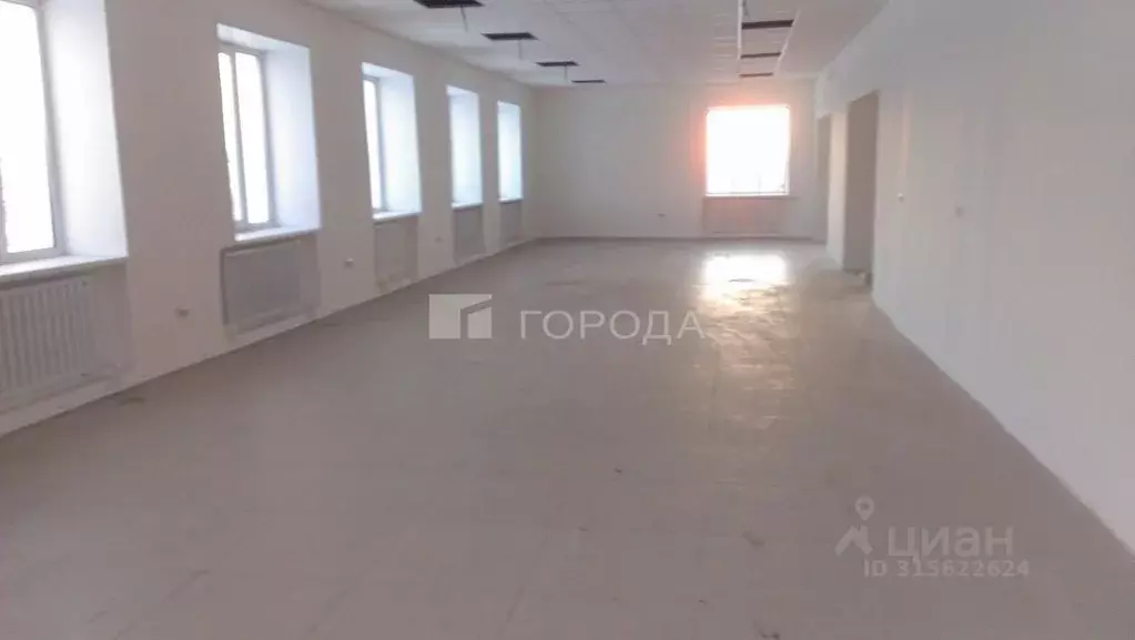 Помещение свободного назначения в Алтайский край, с. Михайловское ул. ... - Фото 1
