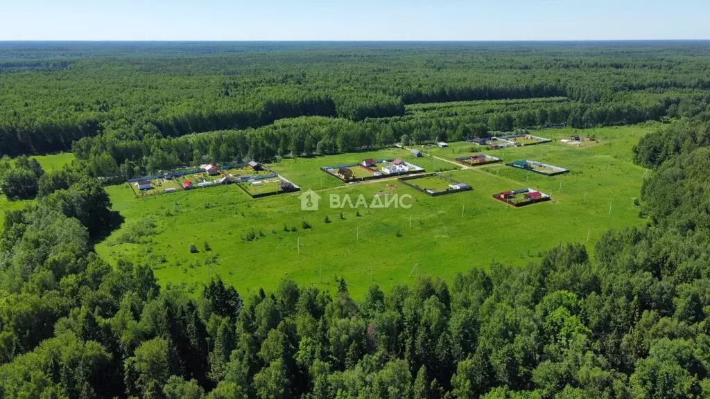 Участок в Владимирская область, Судогодский район, Медовая поляна дп  ... - Фото 0