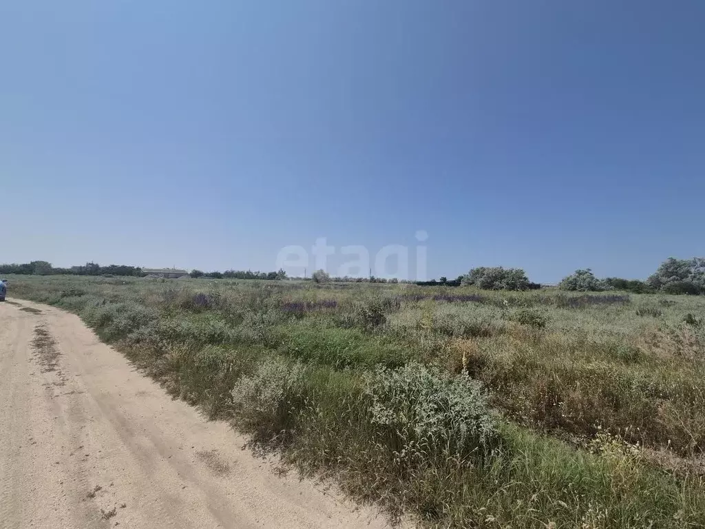 Участок в Краснодарский край, Ейский район, Ясенское с/пос, пос. ... - Фото 1