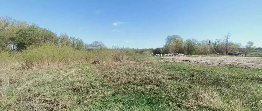 Участок в Марий Эл, Йошкар-Ола пер. 2-й Луговой (10.0 сот.) - Фото 2
