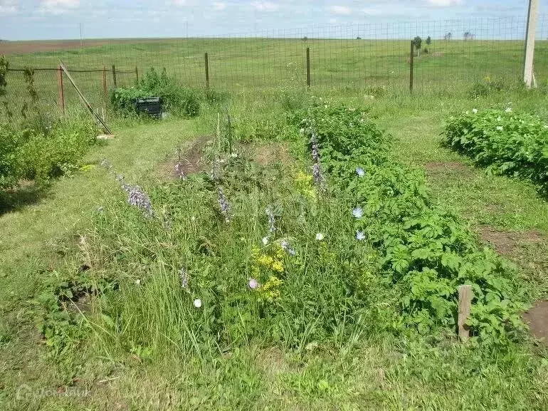 Участок в Челябинская область, Чебаркуль Медик СНТ, 53 (4.4 сот.) - Фото 1