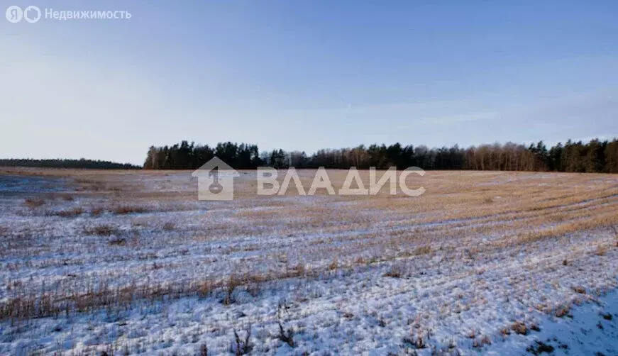 Участок в село Ворша, Цветочная улица, 18 (15 м) - Фото 1