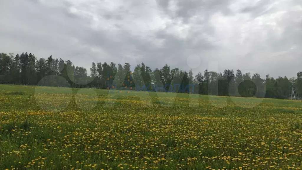 Участок 82 сот. (СНТ, ДНП) - Фото 1
