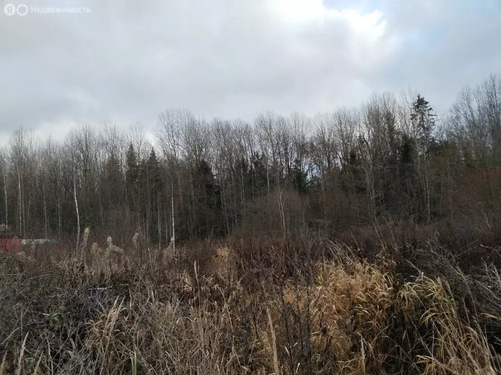 Участок в Ленинградская область, Кириши (11.7 м) - Фото 2