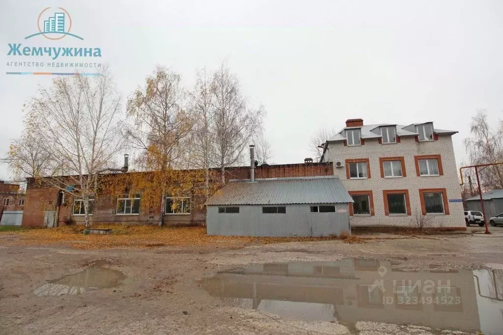 Помещение свободного назначения в Ульяновская область, Димитровград ... - Фото 1