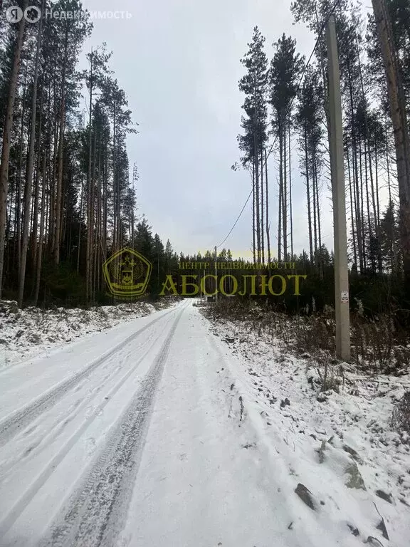 Участок в Свердловская область, Ревда (10 м) - Фото 1