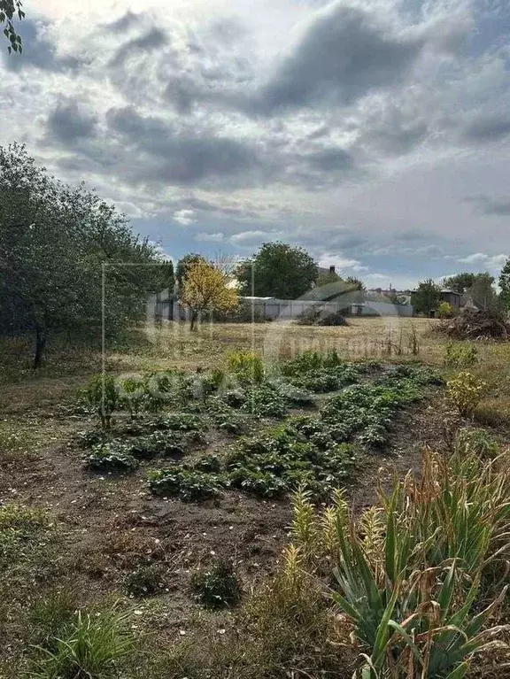 Участок в Воронежская область, Воронеж ул. Репненская (29.0 сот.) - Фото 1