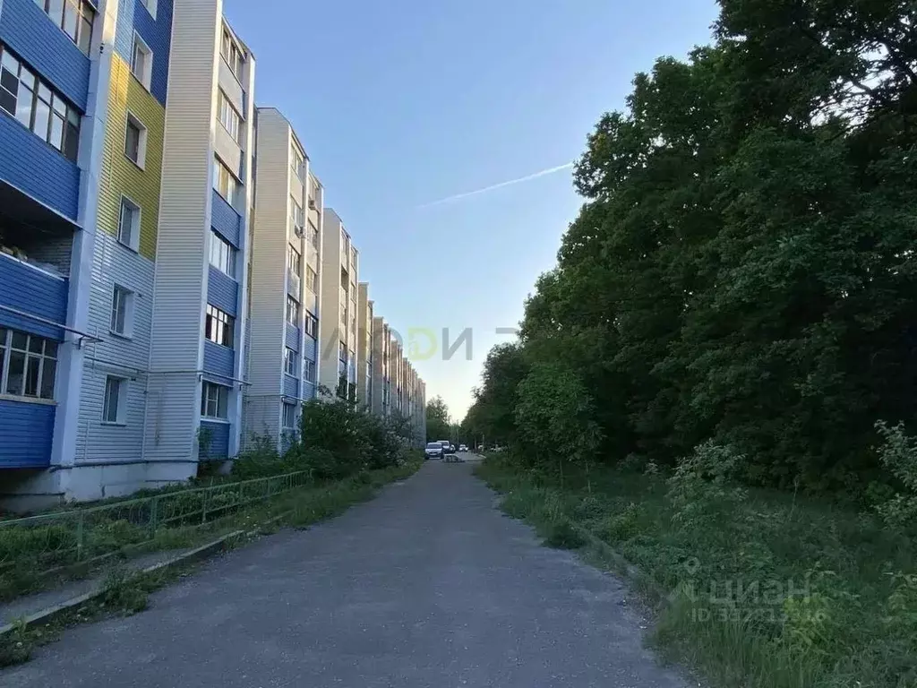 3-к кв. Пензенская область, Пенза Окружная ул., 119А (82.5 м) - Фото 2