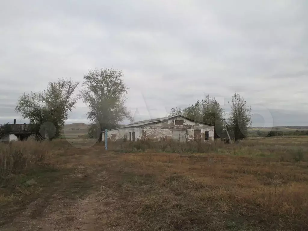 Погода пос чкаловский. Посёлок Чкаловский Оренбургской области. Оренбургская область Асекеевский район поселок Чкаловский. Совхоз Чкаловский Оренбургский район. П.Чкалов Оренбургский район сельсовет.