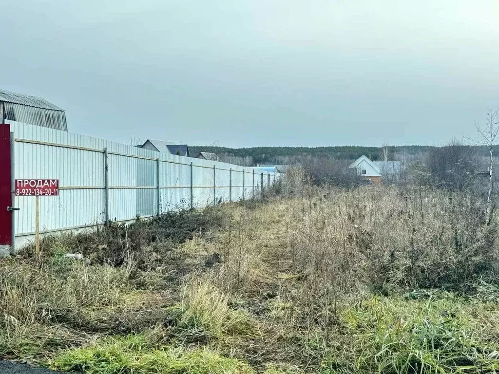 Участок в Свердловская область, Талица Васильковая ул., 10 (6.6 сот.) - Фото 0